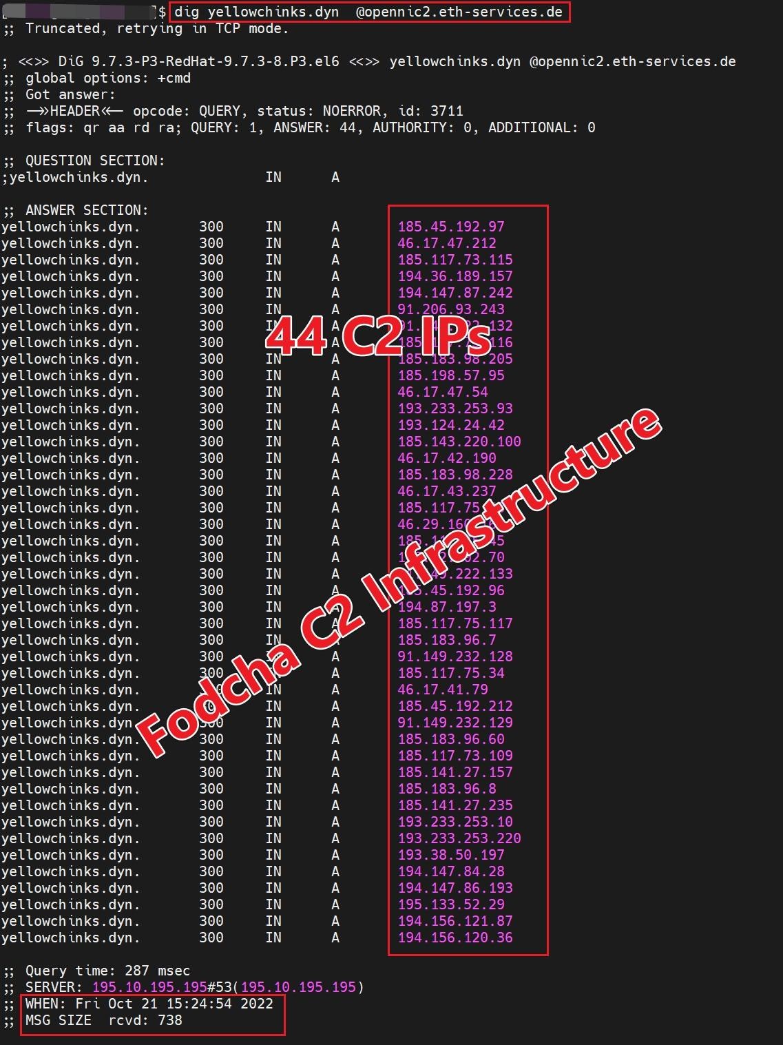 Updated Fodcha botnet