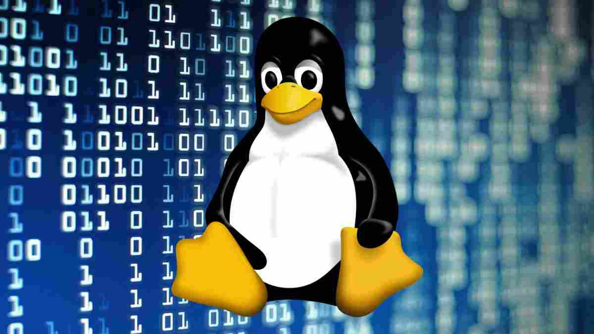 Vulnerabilities in Linux and superuser rights