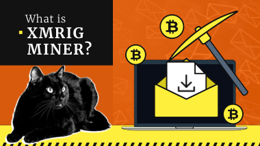 XMRig Malware Miner | Gridinsoft